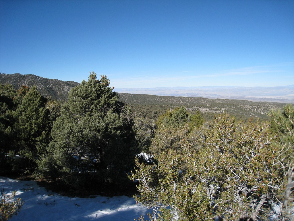Las Vegas 2010 - Mt Charleston 0291.JPG - The 2010 Las Vegas Fire - Ice and Sweat Tour. Half Marathon, Red Rock Canyon, Casinos, Valley of Fire.... and buffets!